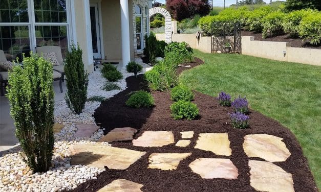 Land Tech Group