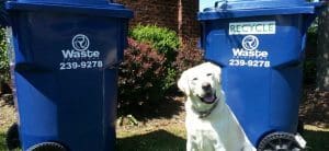 Waste Solutions